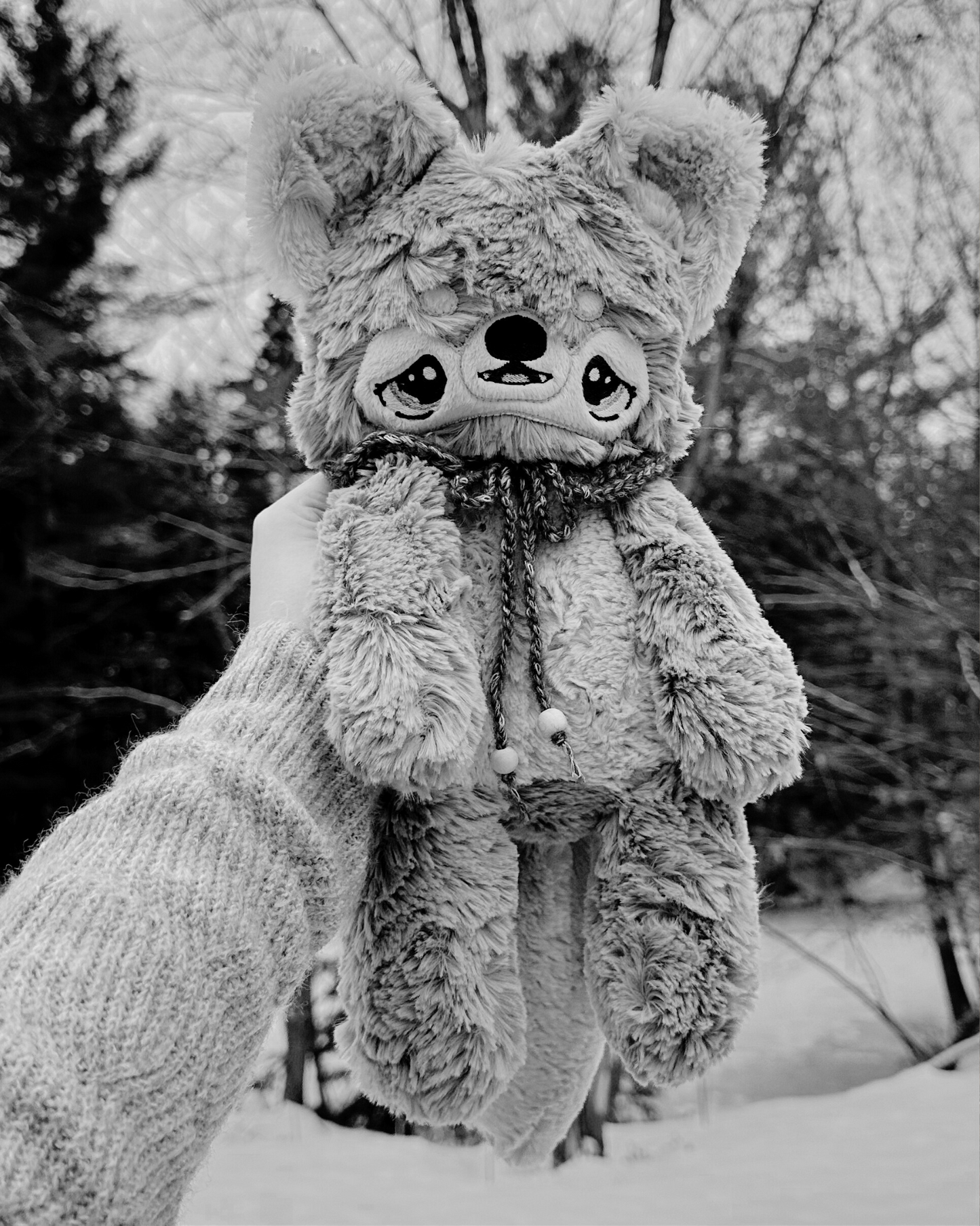 Pre-order Mystery Wolf 🐺