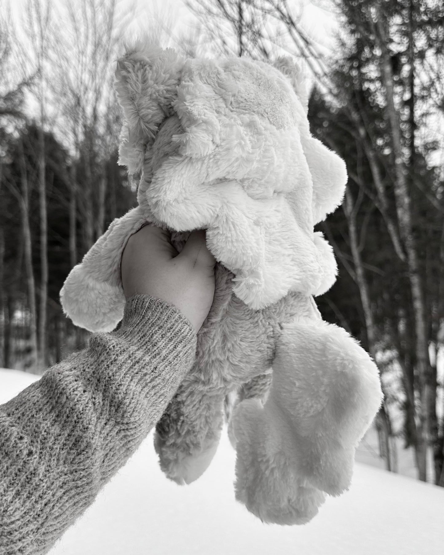 PRE-ORDER! Mystery Horse 🐴