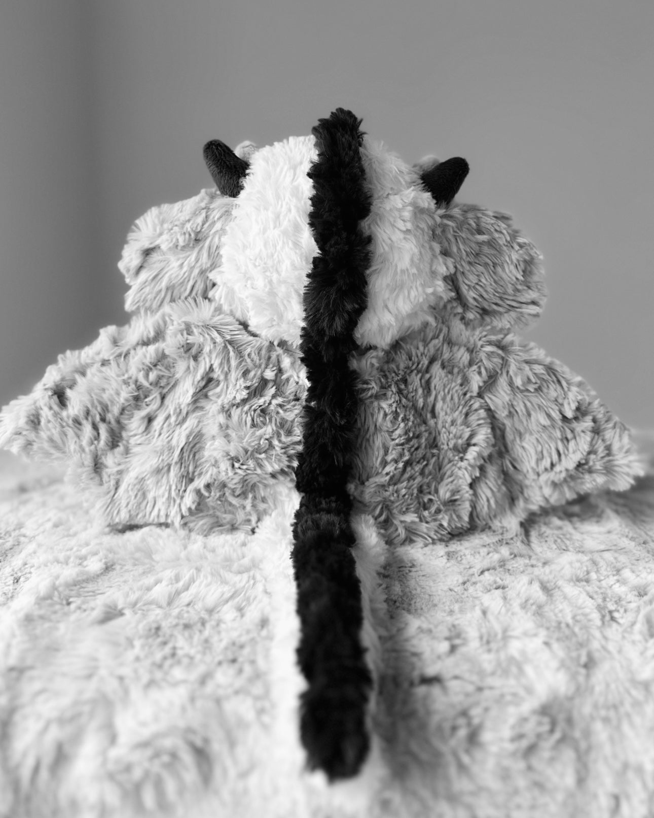 MEDIUM MYSTERY DRAGON PRE-ORDER 🐉