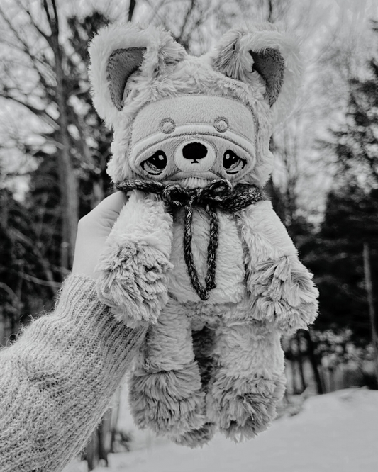 Pre-order Mystery Raccoon 🦝