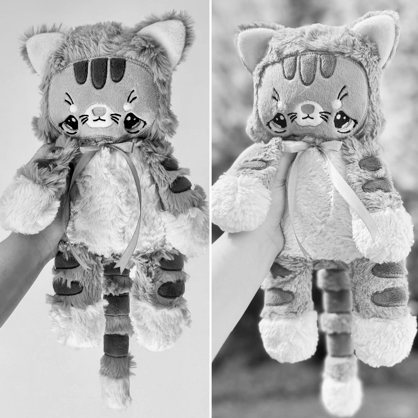 Mystery cat PREORDER 🐈‍⬛